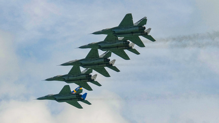 RMAF Smokey Bandits MiG-29