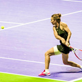WTA Finals 2014