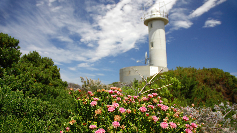 T5RL_Lighthouse.jpg