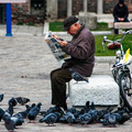 Man and Pigeons