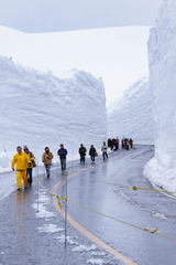 Murodo Snow Wall