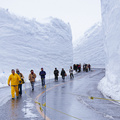 Murodo Snow Wall